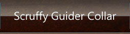 Scruffy Guider Collar